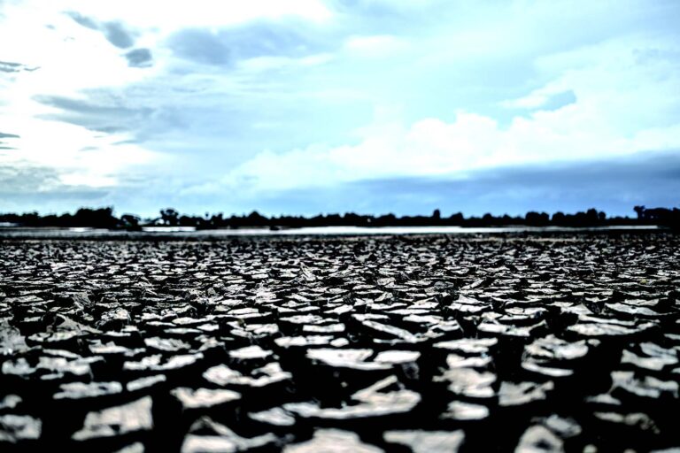 Sello CAME Sustentable